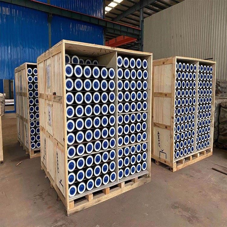 UHMWPE ROLLER PACKING 2 UHMWPE ROLLER PACKING 2